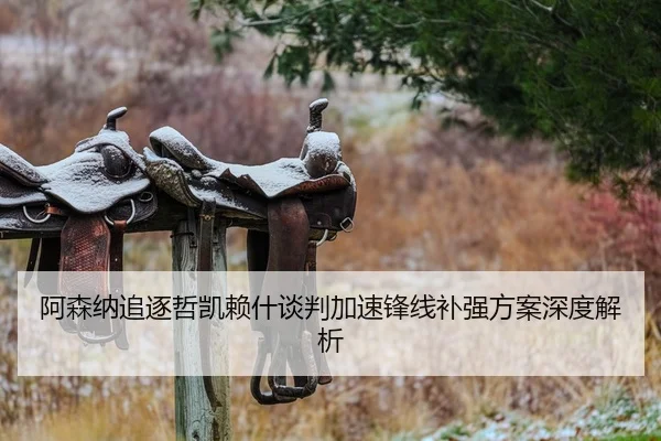 阿森纳追逐哲凯赖什谈判加速锋线补强方案深度解析